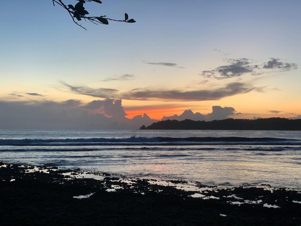 Surf Camp Hotel Bocas del Toro Buitenkant foto