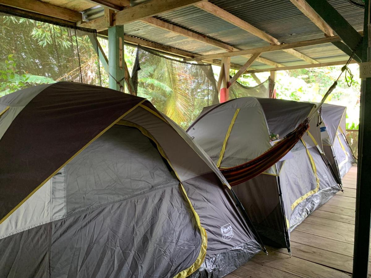 Surf Camp Hotel Bocas del Toro Buitenkant foto