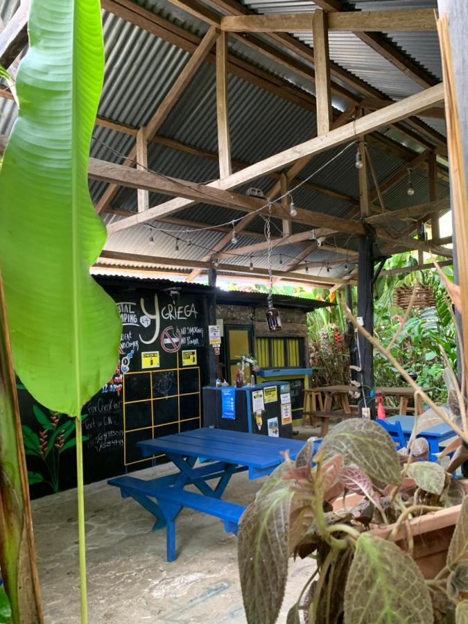 Surf Camp Hotel Bocas del Toro Buitenkant foto