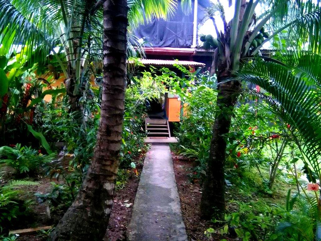 Surf Camp Hotel Bocas del Toro Buitenkant foto